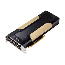 NVIDIA Tesla V100S - Processeur de calcul - Tesla V100S HBM2 - PCIe 3.0 x16 - san ventilateur (TCSV100SM-32GB-PB)_2